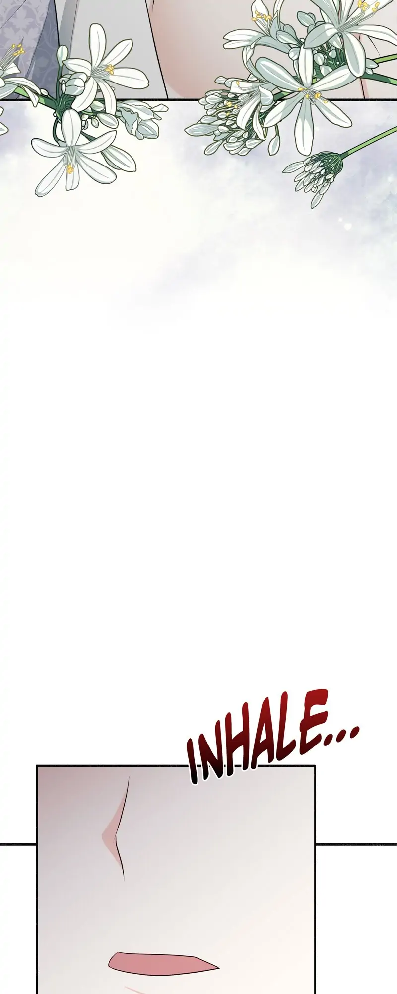 33487951 800 2000 49998