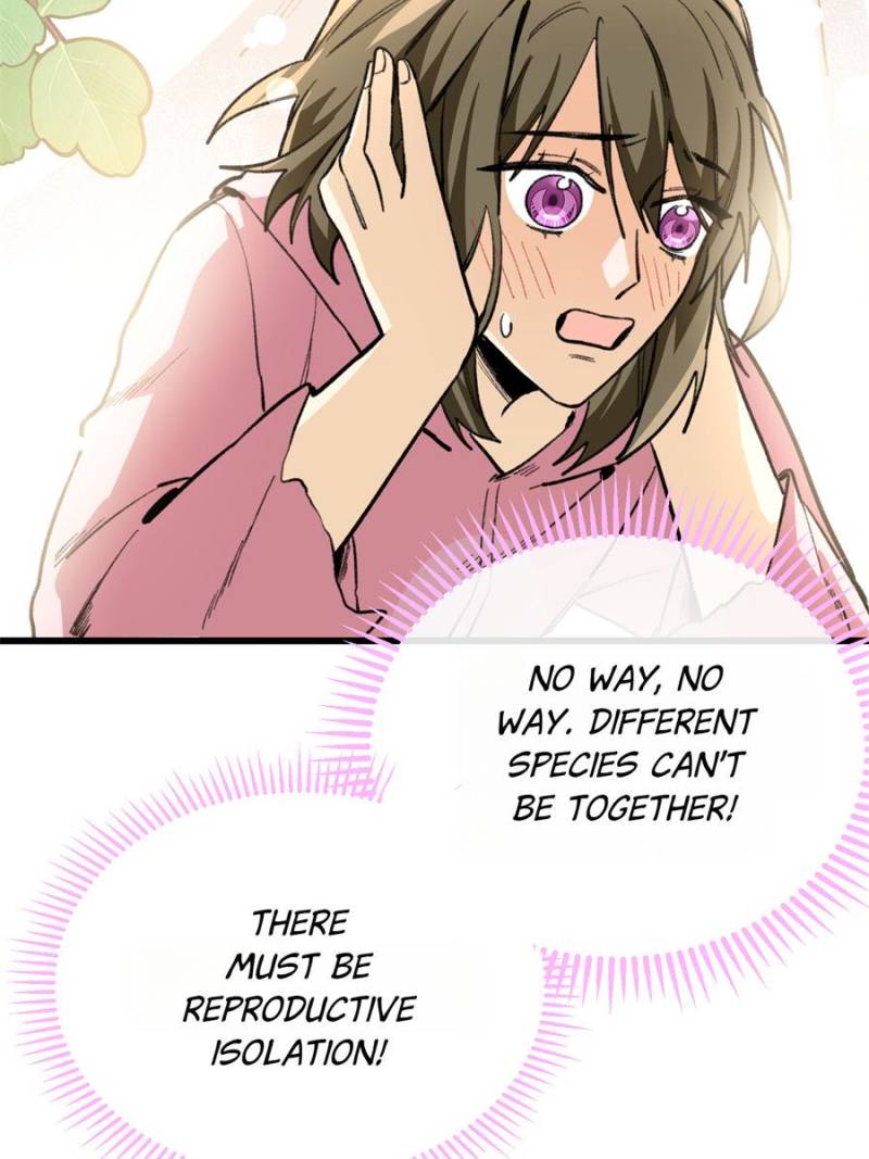 80990447 800 1067 86364